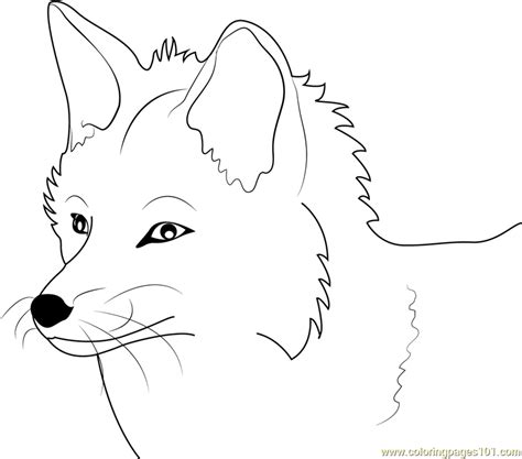 fennec fox coloring   designlooter