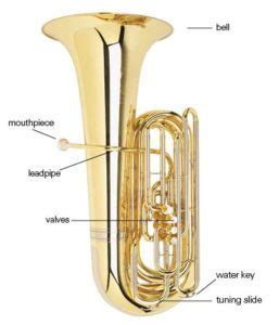 clean tuba rotary valves  peak performance clean  instrument