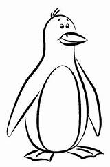 Penguin Draw Drawing Outline Kids Read Coloring sketch template