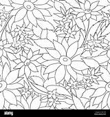 Floral Pattern Outline Flower Engraving Seamless Background Alamy sketch template