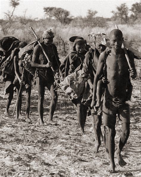 the san bushmen of south africa