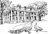 Plantation House Clipart Line Drawing Coloring Plantations Southern Google Big Pages Mansions Sketch Drawings Colouring Homes Adult Paintings Cliparts Gif sketch template