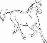 Horse Running Coloring Horses Pages Fast Getcolorings Color Getdrawings sketch template