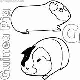 Guinea Bestcoloringpagesforkids Pigs sketch template