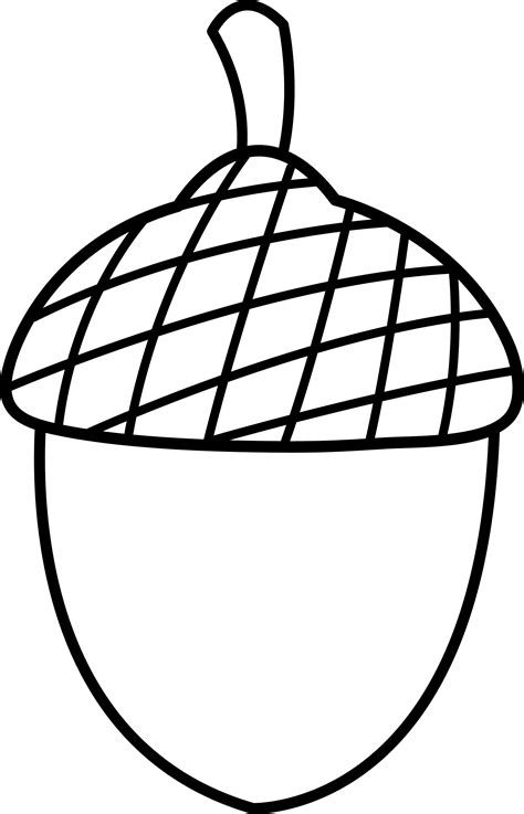 acorn  art  clip art