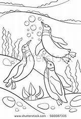 Coloring Pool Pages Swimming Penguin Swim Bathing Suit Adult Adults Underwater Shutterstock Getcolorings Getdrawings Penguins Three Cute Little Printable Colori sketch template