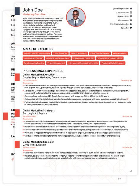 cv template  stellar guide latest cv format