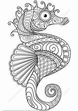Fisch Mandalas Ausmalen Seepferdchen Bildern Zentangle sketch template