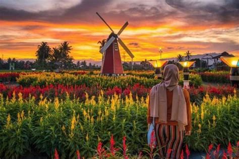 gambar kincir angin di belanda pulp