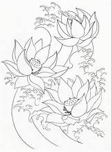 Coloring Flower Lotus Painting Pages Outline Library Clipart sketch template