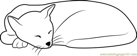 sleeping cat  cute coloring page  kids  cat printable