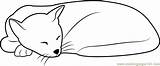 Coloring Cat Sleeping Cute Pages Looks Kitty Coloringpages101 Cats Kids Color Printable Template Print sketch template