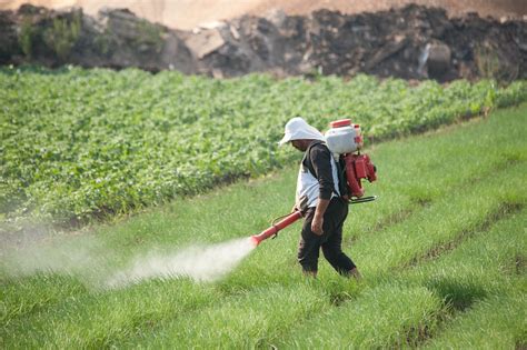 Uk Exported Seven Home Banned Pesticides
