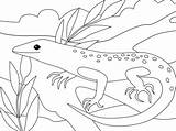 Coloring Lizard Pages Printable Lizards Categories Drawing Simple sketch template