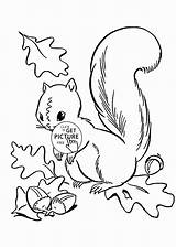 Coloring Pages Squirrel Leaves Jungle Acorn Pentecost Preaching Peter Fall Autumn Kids Drawing Template Color Printable Getdrawings Animals sketch template