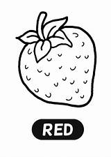 Coloring Pages Red Printable Sheet Visit Fruit Fruits Colouring Apple Colour Sheets Choose Board Rip Stick Word Paint Paper sketch template