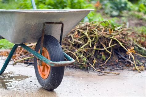 Spring Yard Cleanup Checklist For Gardens Lawns And Patios This Old