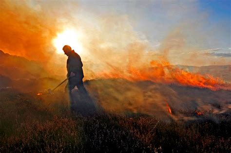 john williamson photography landscapes burning heather