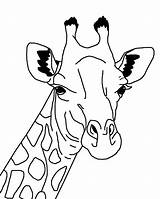 Giraffe Elephant sketch template
