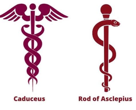 caduceus symbol history  meaning symbol sage