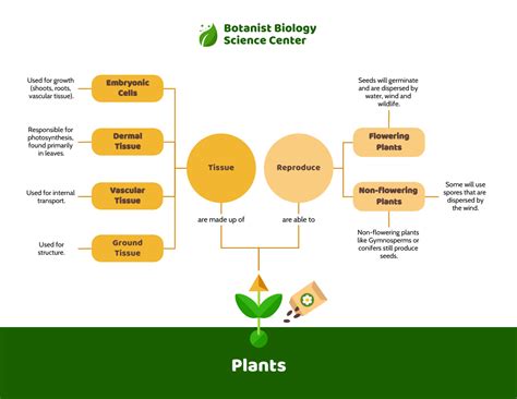 premium plant biology concept map template venngage