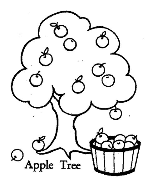 apple tree coloring page submited images