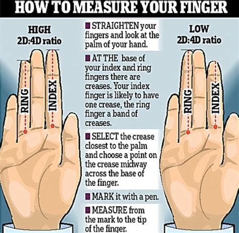 Norwegian Doctor Believes There Is A Link Between Digit Length And