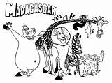 Madagascar Personagens Marty Colorironline Bestcoloringpagesforkids Melman Julien sketch template