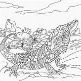Reptile Coloring Barbara sketch template
