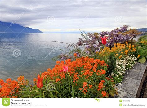 Landscape With Flowers And Lake Geneva Montreux