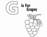 Coloring Grapes Uppercase Pages Template sketch template