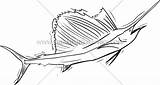 Sailfish Horizontal Funky Template Coloring Pages sketch template