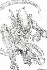 Alien Xenomorph Predator Drawings Aliens Deviantart Vs Giger Chrisozfulton Artwork Dibujos Coloring Movie Sketches Manga Hr Dibujo Concept Les Depredador sketch template