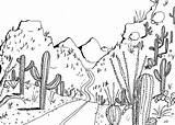 Desert Sonoran Landscape Deviantart Draw Plants sketch template