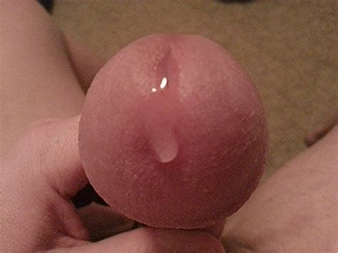 cock dick precum dripping naked hard head close up peehole wet image uploaded by user boobguyyy