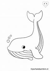 Balene Balena Animali Stampare Portalebambini sketch template