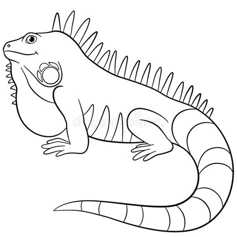 iguana coloring pages coloring pages