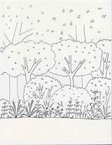 Drawing Shrubs Getdrawings sketch template