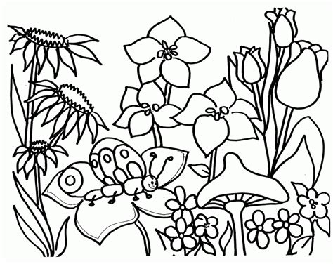 flower garden coloring pages   flower garden coloring