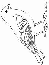 Coloring Bird Pages Animals Printable Color Template Robin Drawings Birds Patterns Print Draw Outlines Coloringpagebook Templates Printables Advertisement Stencils Painting sketch template