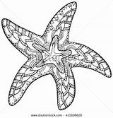 Starfish Zentangle Vector Ocean Drawing Sketch Coloring Pages Summer Vacation Choose Board Illustration Etoile Colouring sketch template