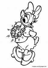 Daisy Duck Coloring Pages Browser Window Print sketch template