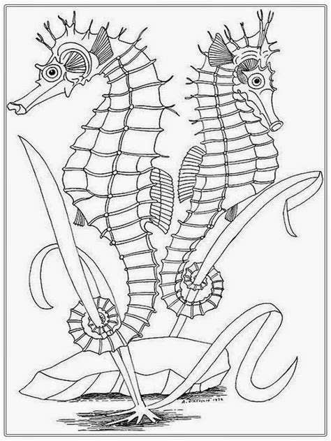 realisticcoloringpages coloring pages png  file