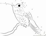 Hummingbird Dots Dot sketch template