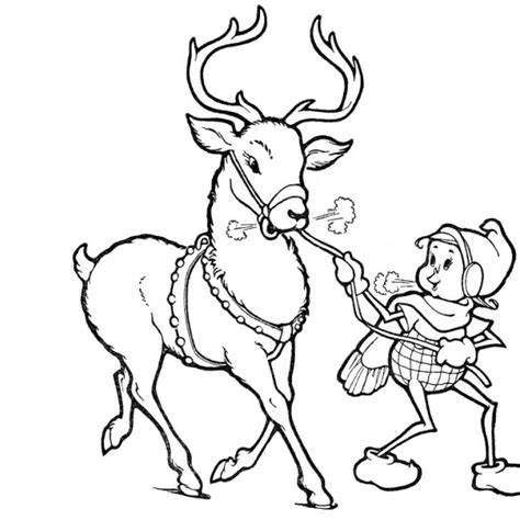 realistic reindeer coloring pages  printable coloring pages