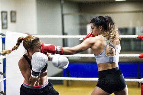 female boxer hitting  opponent  sparring   ring
