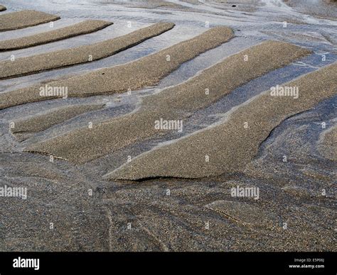 ripples   sand ridges  runnels left   sand   irish beach   retreating