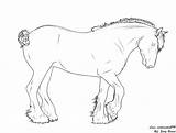 Clydesdale Coloring Lines Deviantart Designlooter Drawings 27kb 682px sketch template