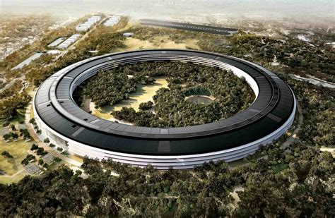 apple  continue hiring employees  ceo    deliberate   decisions