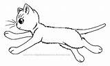 Warrior Cat Windclan Coloring Lineart Wildpathofshadowclan Cats Base Kits Template Deviantart Pages Mates Templates sketch template